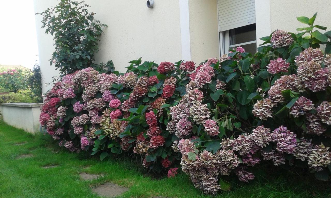 Chambres D'Hotes Le Clos Du Verger Cattenom Exterior foto