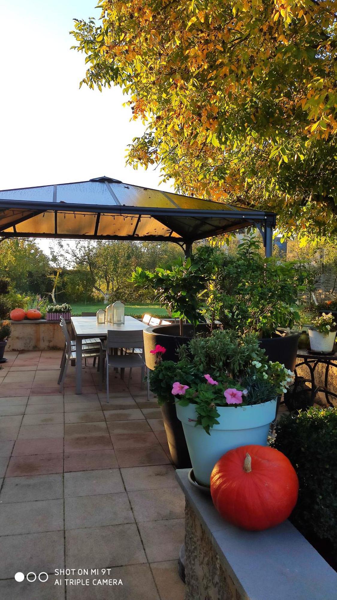 Chambres D'Hotes Le Clos Du Verger Cattenom Exterior foto